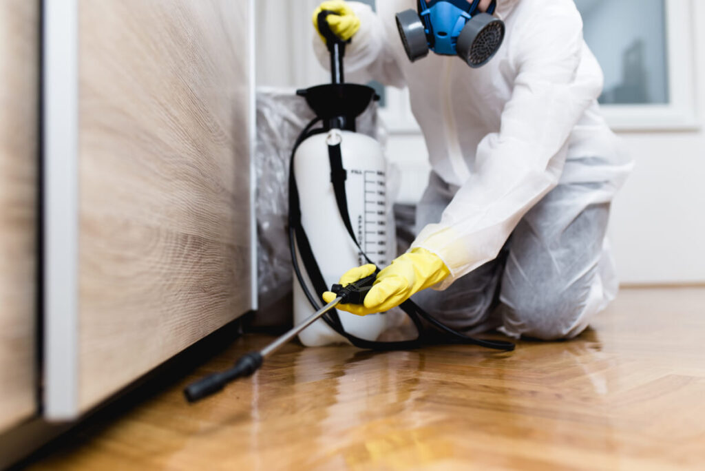 Pest control technician inspecting a home exterior to prevent winter pest infestations